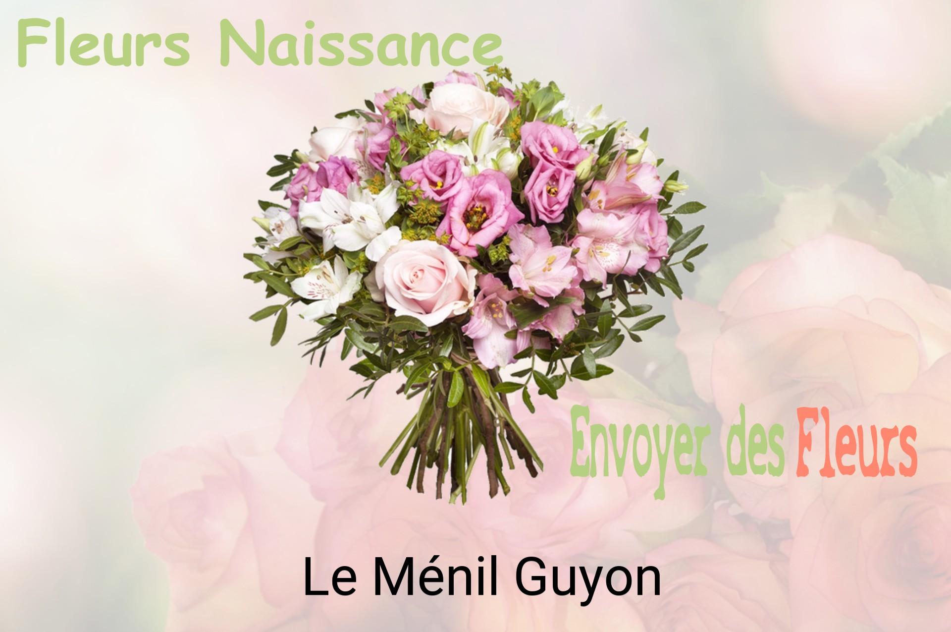 Bouquet de fleurs de naissance livré à Le Ménil-Guyon